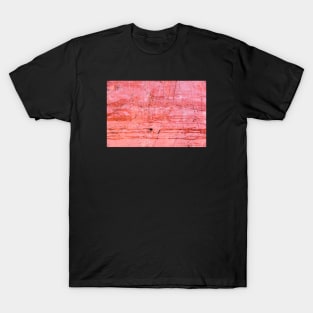 Dirty painted wall T-Shirt